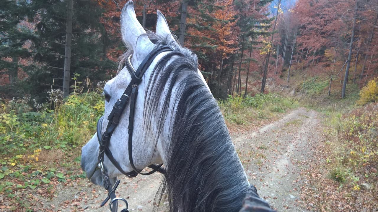 Дома для отпуска Rancho Zapole Zasadne